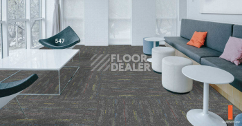 Standard Carpets LAX 547 фото 2 | FLOORDEALER
