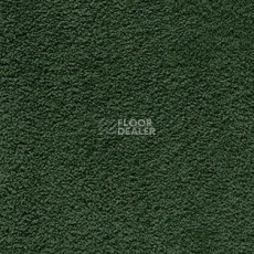 Ковролин AW Softissimo 24 фото 1 | FLOORDEALER
