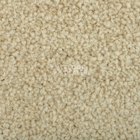 Standard Carpets Mountain View 4393 фото 3 | FLOORDEALER