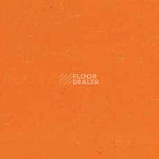 Линолеум Gerflor Colorette 0170 Kumquat Orange фото 1 | FLOORDEALER