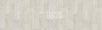 Линолеум Tarkett Taifun SAVOCA1 фото 1 | FLOORDEALER