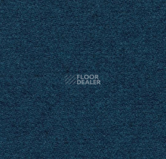 Ковролин Forbo Flotex wonderlab 07 900267 Nautical фото 1 | FLOORDEALER