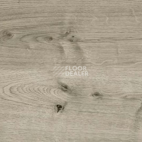 Пробковое покрытие Wood замковое OAK GREY фото 1 | FLOORDEALER