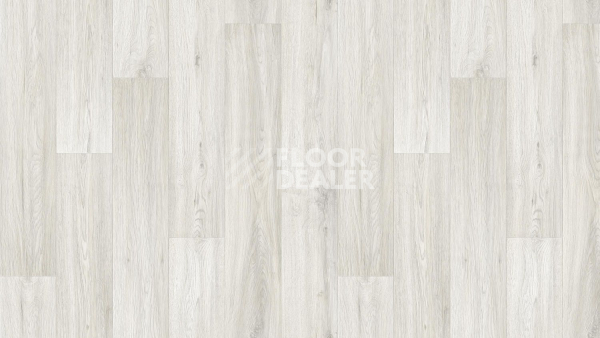 Линолеум Tarkett Club Jane 4 фото 1 | FLOORDEALER