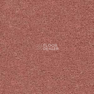 Ковролин Radici Montecarlo 60 фото 1 | FLOORDEALER