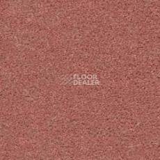 Ковролин Radici Montecarlo 60 фото 1 | FLOORDEALER