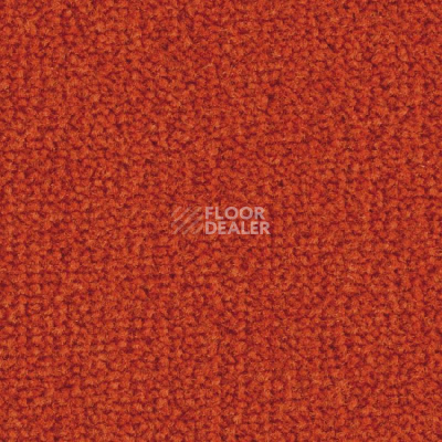 Ковролин Balsan Les Best S 470 фото 1 | FLOORDEALER