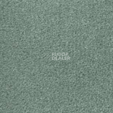 Ковролин Radici Montecarlo 69 фото 1 | FLOORDEALER