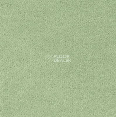 Ковролин Creatuft Sheba 1072 Green 4 + 5m фото 1 | FLOORDEALER