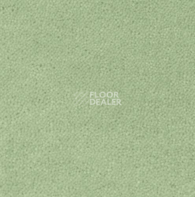 Ковролин Creatuft Sheba 1072 Green 4 + 5m фото 1 | FLOORDEALER