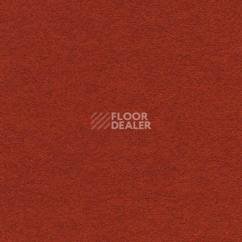 Ковролин Finett Feinwerk 503509 фото 1 | FLOORDEALER