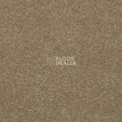 Ковролин Shaw Design Texture Platinum 742 фото 1 | FLOORDEALER