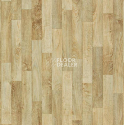 Линолеум Tarkett Sparta OSCAR_1 фото 1 | FLOORDEALER
