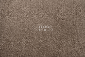 Lano Sense Pure 989 фото 2 | FLOORDEALER
