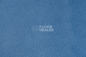 Ковролин Vorwerk Passion 1000/Modena Vorwerk 3h91 фото 1 | FLOORDEALER
