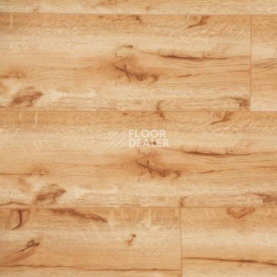 Линолеум Novoflor Extra Amos 3330-51 фото 1 | FLOORDEALER