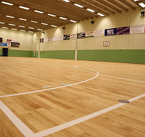 Apoluza Sportfloor pvc Wood 6.5