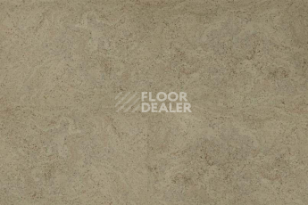 Eco Cork MADEIRA GREY фото 2 | FLOORDEALER