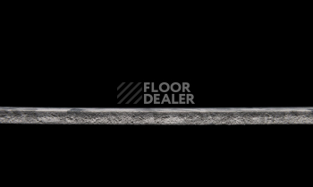 Tarkett Primo Plus 314 фото 3 | FLOORDEALER