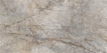 Керамогранит Rain Forest 59 x 119 Rain Forest Natural Pulido 59X119 Rect фото 1 | FLOORDEALER