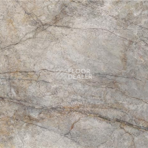 Керамогранит Rain Forest 59 x 119 Rain Forest Natural Pulido 59X119 Rect фото 1 | FLOORDEALER