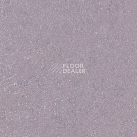 Линолеум Forbo Marmoleum Solid Concrete 3730-373035 Stella фото 1 | FLOORDEALER