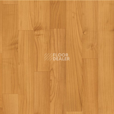 Линолеум Grabo Terrana Top Extra 4159-254 фото 1 | FLOORDEALER