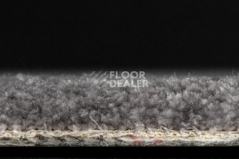 AW Masquerade Fedone / Федонэ 99 фото 4 | FLOORDEALER