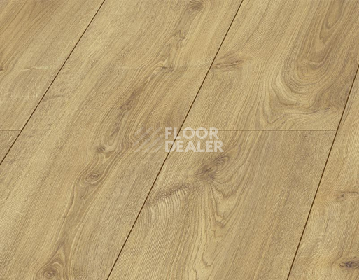 Ламинат Kronopol Platinium Holiday AQUA BLOCK 8mm Kronopol Platinium Holiday Aqua Block 24h Дуб Тайланд D40164 фото 2 | FLOORDEALER