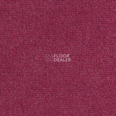 Ковролин Balsan Sydney DD 560 фото 1 | FLOORDEALER