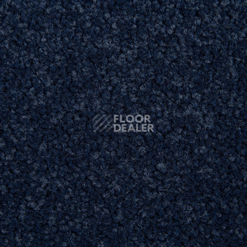 Innova Фризе 7079 фото 3 | FLOORDEALER