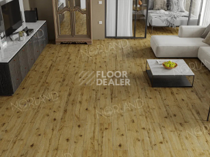 Norland Elegant Strong 12мм Дуб Скай LF302-14 фото 2 | FLOORDEALER