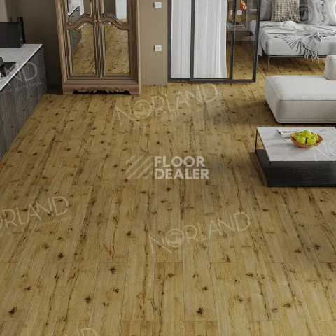 Norland Elegant Strong 12мм Дуб Скай LF302-14 фото 2 | FLOORDEALER