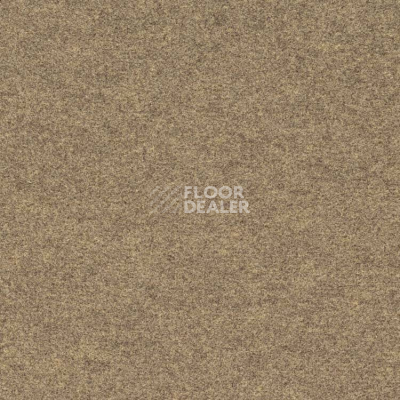 Ковролин Finett Feinwerk 403505 фото 1 | FLOORDEALER