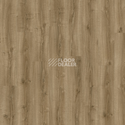 Кварцвиниловые полы Moduleo Next Acoustic дерево SILKY OAK 235 BO фото 1 | FLOORDEALER