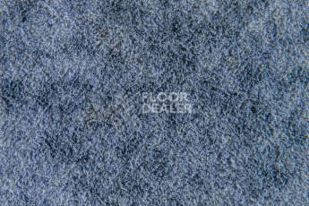 Forbo Flotex Colour Calgary 50*50 t 590025 Calgary Riviera фото 2 | FLOORDEALER