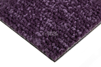 Balsan Season - Summer / Winter 880 фото 4 | FLOORDEALER