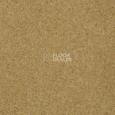 Ковролин Shaw Design Texture Platinum 264 фото 1 | FLOORDEALER