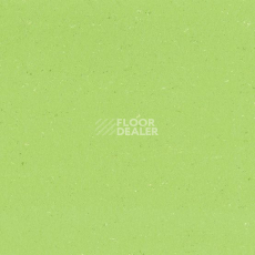 Линолеум Gerflor Colorette 0132 Spicy Green фото 1 | FLOORDEALER