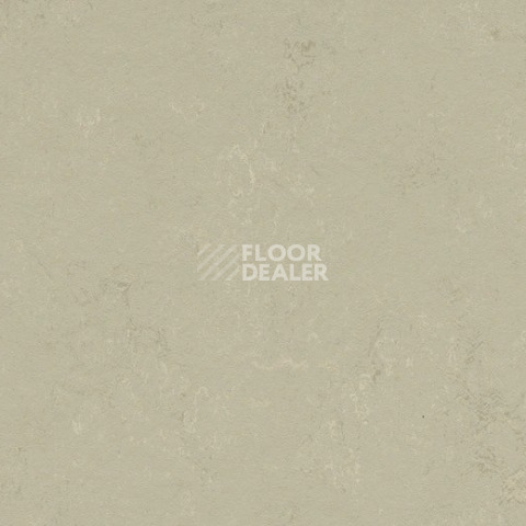 Линолеум Forbo Marmoleum Solid Concrete 3758 shale фото 1 | FLOORDEALER