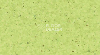 Кварцвиниловые полы  0338_Kiwi фото 1 | FLOORDEALER