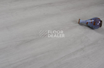 Evofloor Optima Click 4.2мм Дуб Серебряный фото 3 | FLOORDEALER