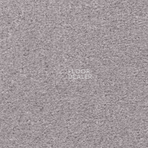 Ковролин Radici Montecarlo 86 фото 1 | FLOORDEALER