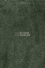 Ковролин AW Masquerade Fedone 24 фото 1 | FLOORDEALER