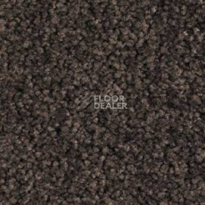 Ковролин Balsan Bolero roll 790 фото 1 | FLOORDEALER