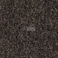 Ковролин Balsan Bolero roll 790 фото 1 | FLOORDEALER
