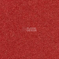 Ковролин Radici Montecarlo 62 фото 1 | FLOORDEALER
