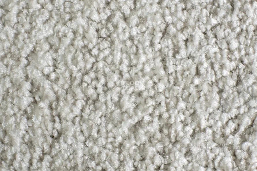 AW Masquerade Costanza 36 фото 2 | FLOORDEALER