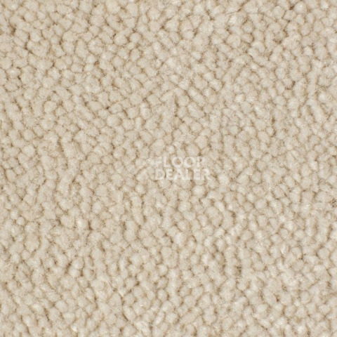 Ковролин Edel Vanity 112 фото 1 | FLOORDEALER