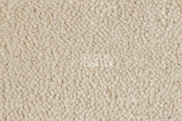 Ковролин Edel Vanity 112 фото 1 | FLOORDEALER